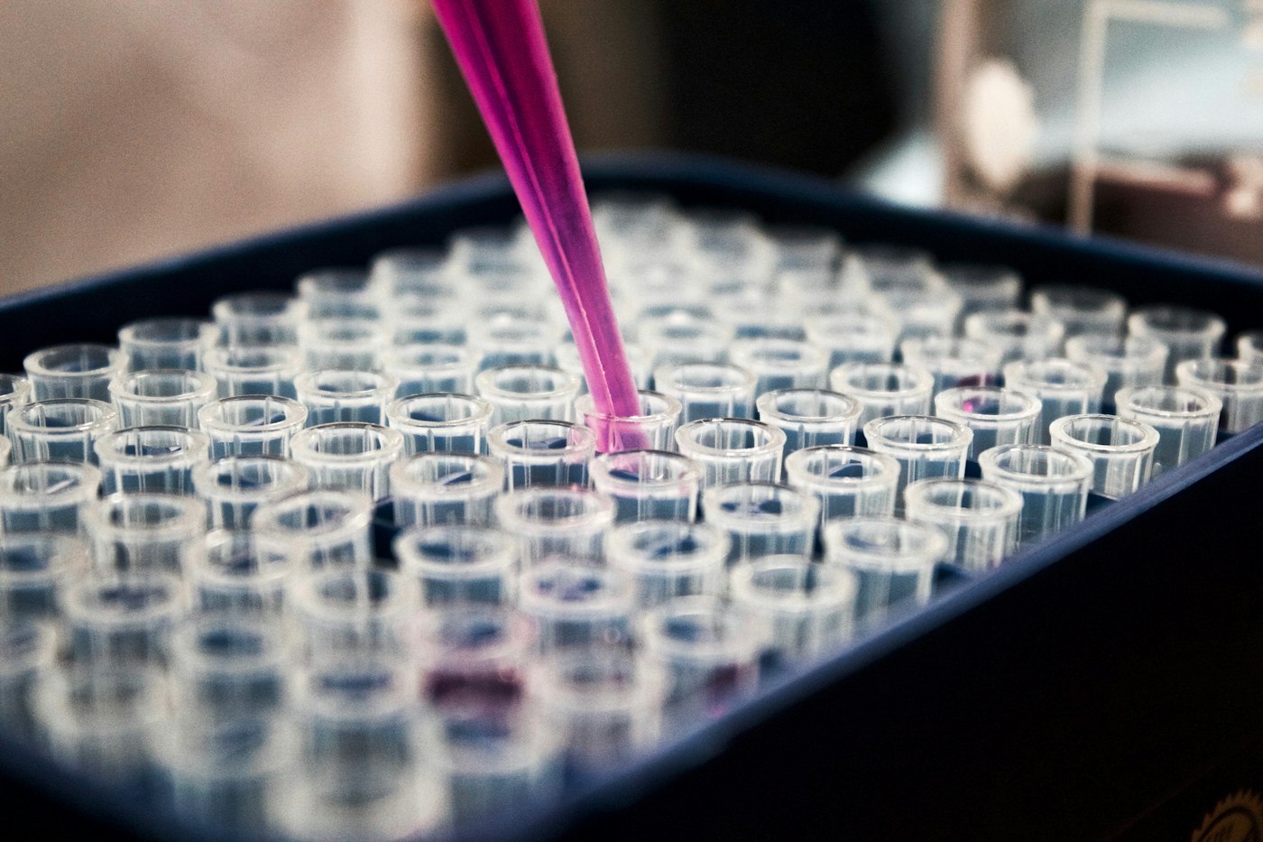 Laboratory pipette dispensing liquid into small sample tubes
